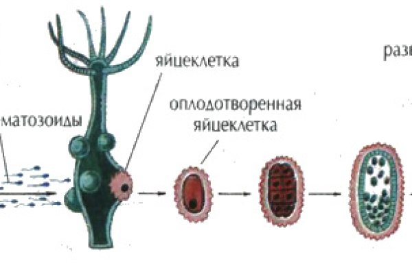 Омг телеграмм